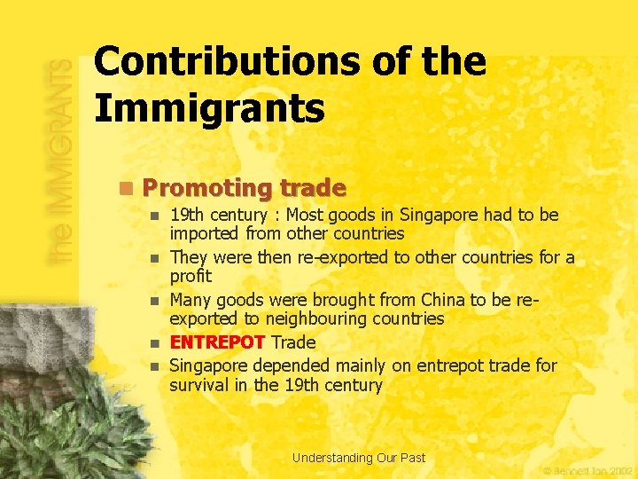 Contributions of the Immigrants n Promoting trade n n n 19 th century :
