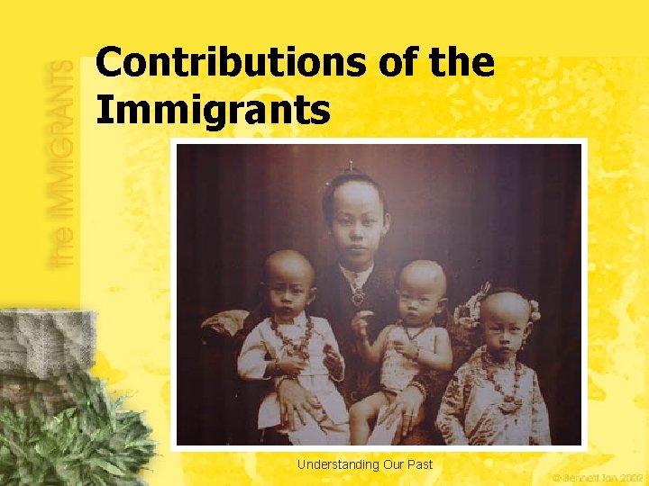 Contributions of the Immigrants Understanding Our Past 