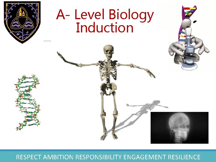 A- Level Biology Induction RESPECT AMBITION RESPONSIBILITY ENGAGEMENT RESILIENCE 