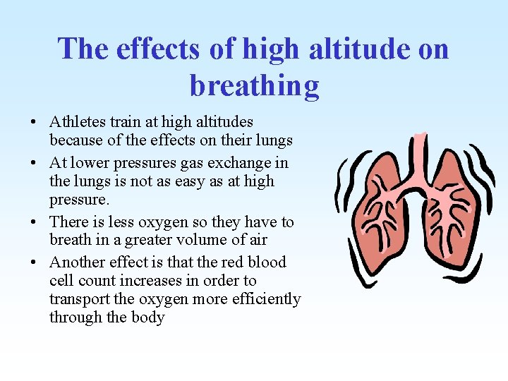 The effects of high altitude on breathing • Athletes train at high altitudes because