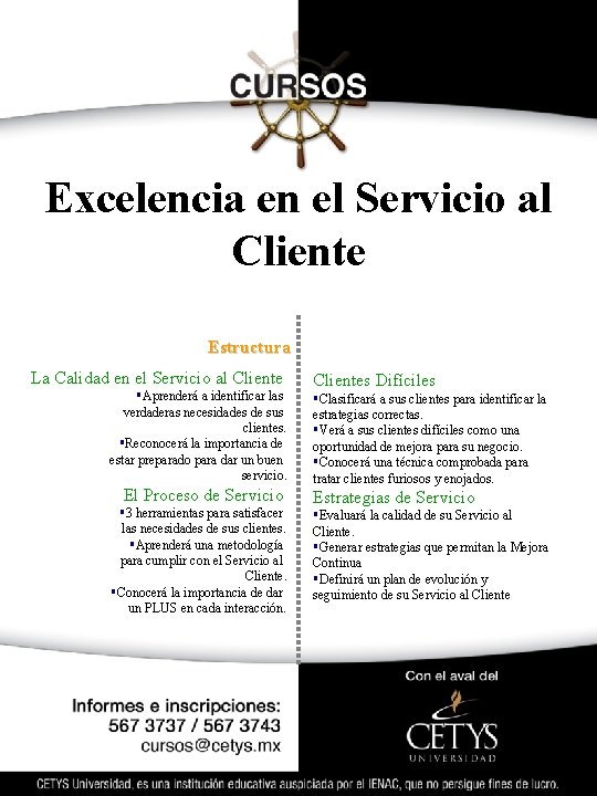 Excelencia en el Servicio al Cliente Estructura La Calidad en el Servicio al Cliente