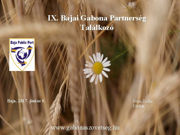 IX. Bajai Gabona Partnerség Találkozó Baja, 2017. június 8. Pótsa Zsófia főtitkár www. gabonaszovetseg.