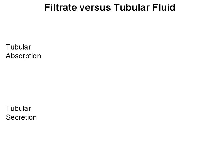 Filtrate versus Tubular Fluid Tubular Absorption Tubular Secretion 