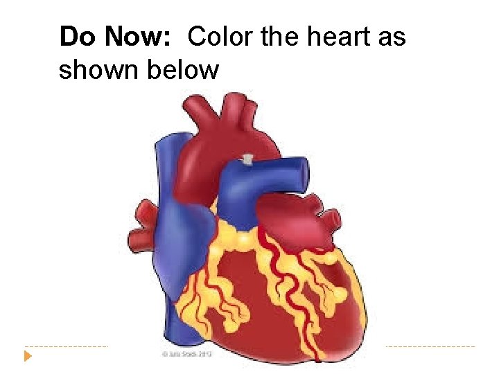 Do Now: Color the heart as shown below 