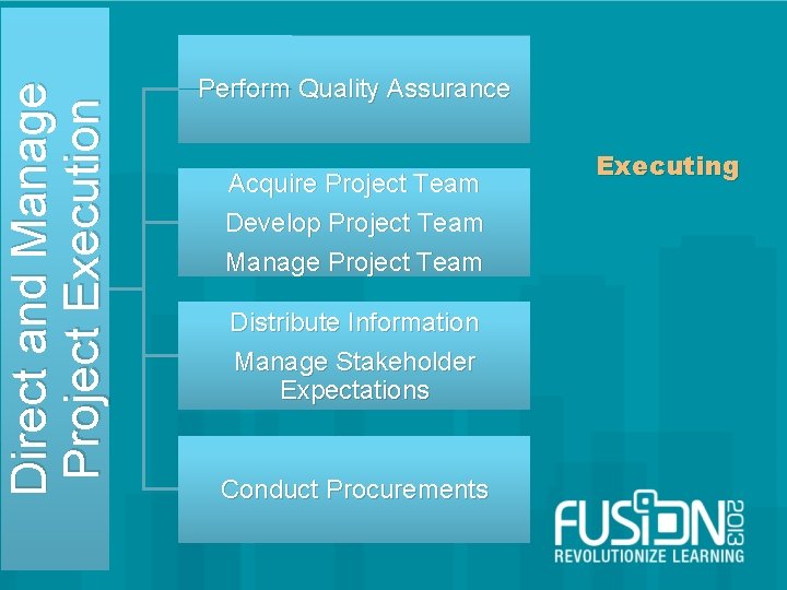 Direct and Manage Project Execution Perform Quality Assurance Acquire Project Team Develop Project Team