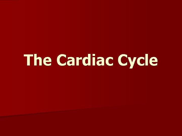 The Cardiac Cycle 