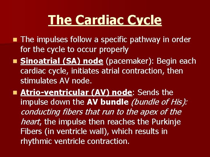 The Cardiac Cycle The impulses follow a specific pathway in order for the cycle