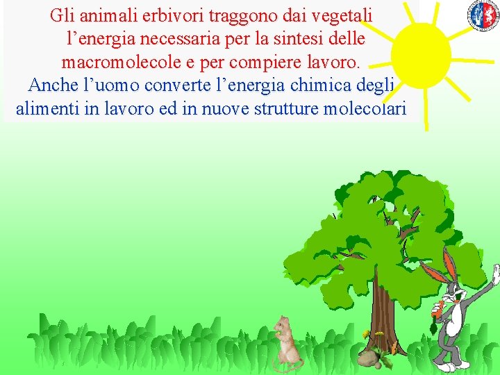 Gli animali erbivori traggono dai vegetali l’energia necessaria per la sintesi delle macromolecole e