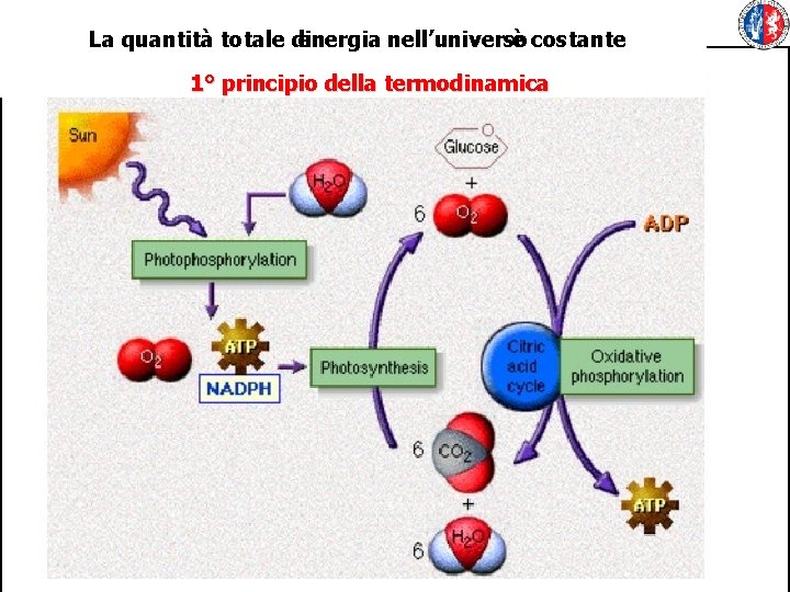 La quantità totale di energia nell’universo è costante 1° principio della termodinamica 