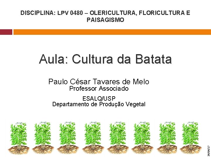 DISCIPLINA: LPV 0480 – OLERICULTURA, FLORICULTURA E PAISAGISMO Aula: Cultura da Batata Paulo César