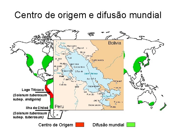 Centro de origem e difusão mundial . . Ilhas Canárias 1565 Lago Titicaca (Solanum