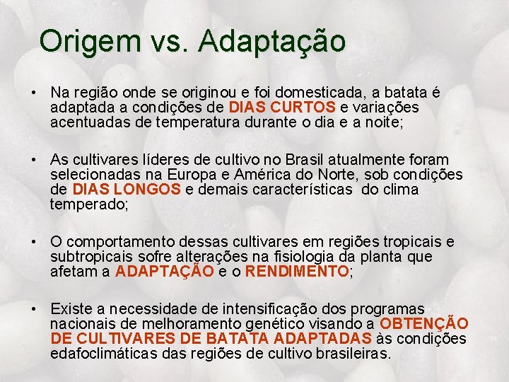 Origem vs. Adaptação • Na região onde se originou e foi domesticada, a batata