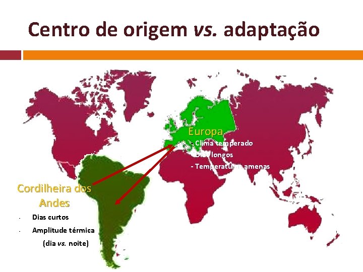 Centro de origem vs. adaptação Europa - Clima temperado - Dias longos - Temperaturas