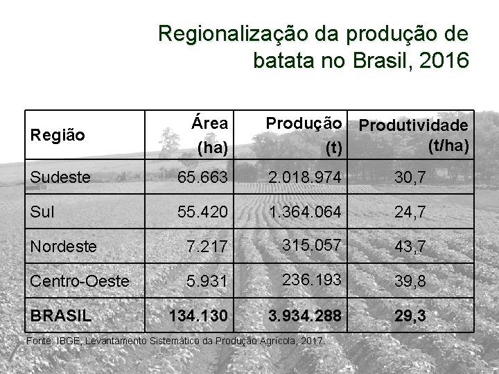 Regionalização da produção de batata no Brasil, 2016 Região Área (ha) Produção Produtividade (t/ha)