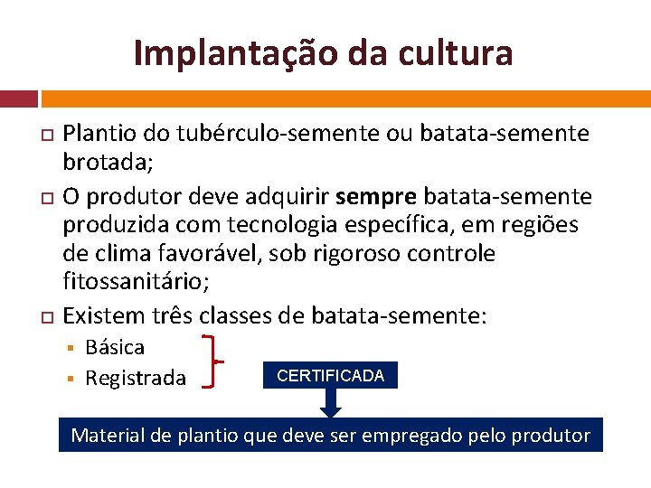 Implantação da cultura Plantio do tubérculo-semente ou batata-semente brotada; O produtor deve adquirir sempre