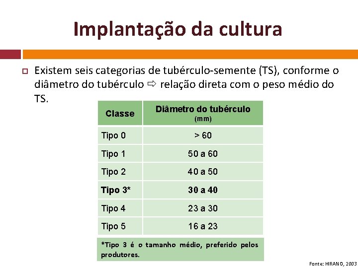 Implantação da cultura Existem seis categorias de tubérculo-semente (TS), conforme o diâmetro do tubérculo