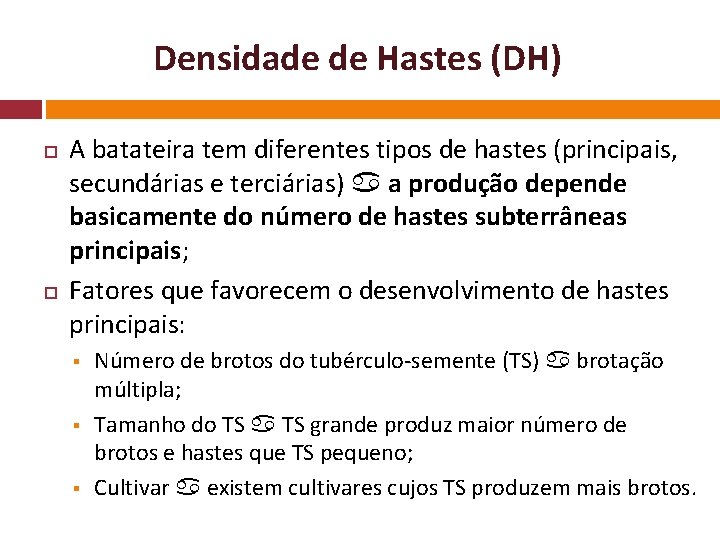 Densidade de Hastes (DH) A batateira tem diferentes tipos de hastes (principais, secundárias e