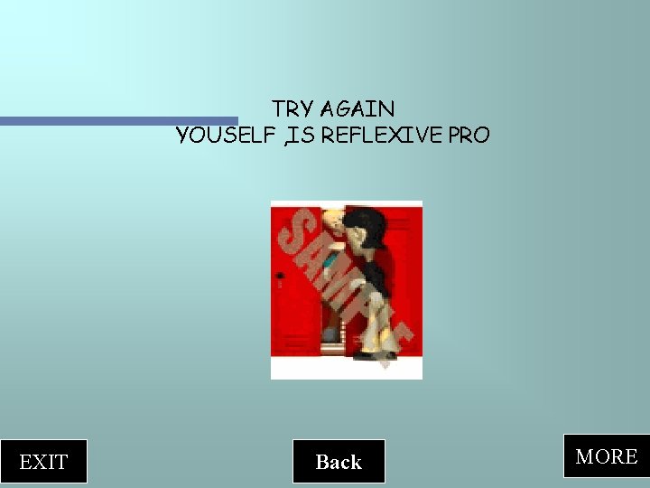 TRY AGAIN YOUSELF , IS REFLEXIVE PRO EXIT Back MORE 