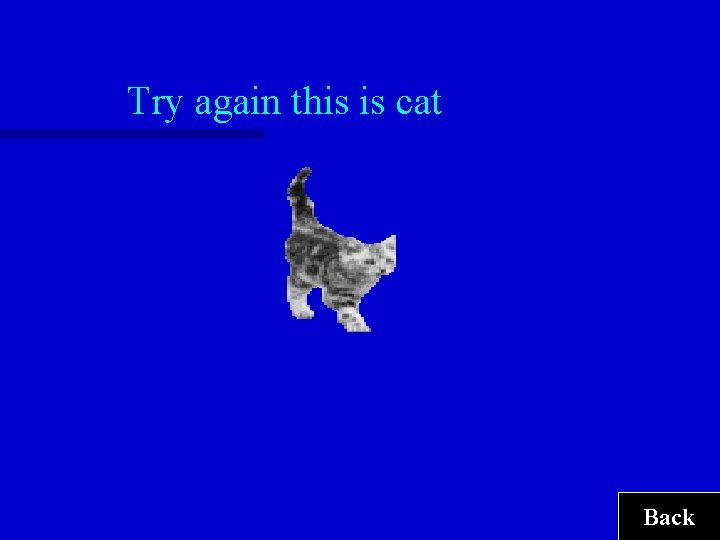 Try again this is cat Back 