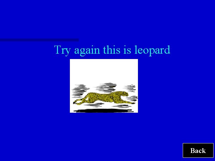 Try again this is leopard Back 