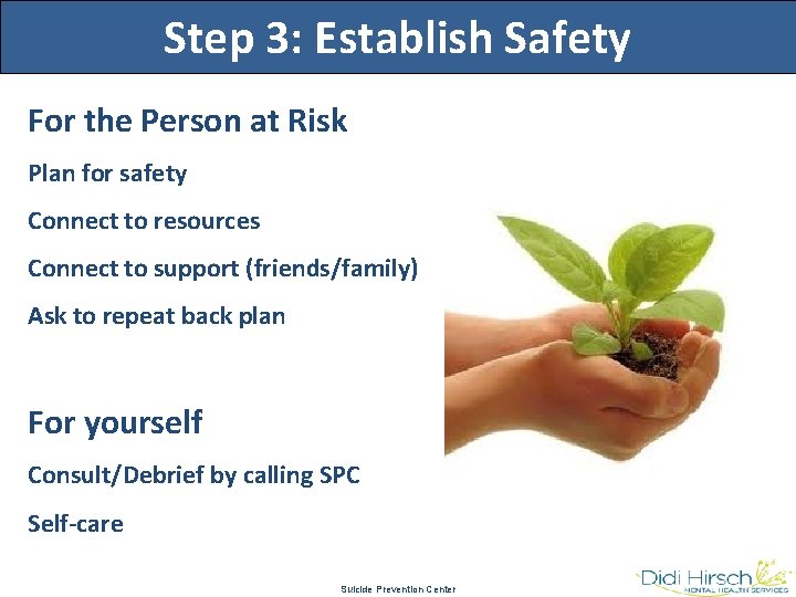 Step 3: Establish Safety For the Person at Risk Plan for safety Connect to