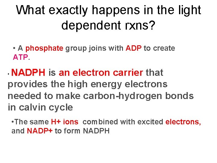What exactly happens in the light dependent rxns? • A phosphate group joins with