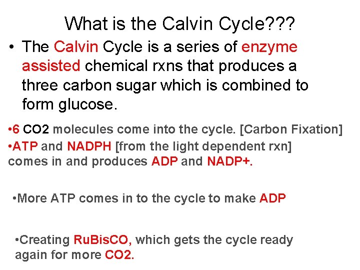 What is the Calvin Cycle? ? ? • The Calvin Cycle is a series
