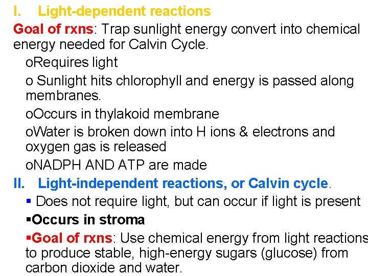 I. Light-dependent reactions Goal of rxns: Trap sunlight energy convert into chemical energy needed