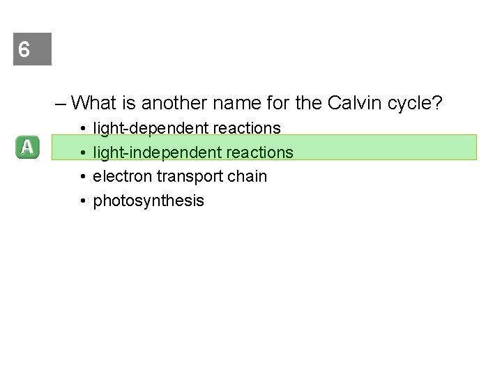 6 – What is another name for the Calvin cycle? • • light-dependent reactions