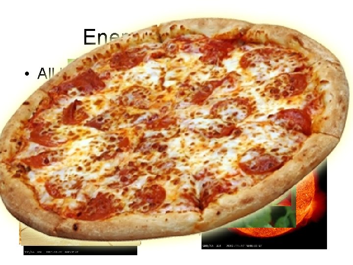 Energy For Life • All living things need a source of energy to live