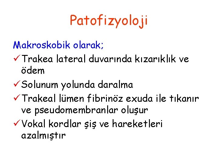 Patofizyoloji Makroskobik olarak; ü Trakea lateral duvarında kızarıklık ve ödem ü Solunum yolunda daralma