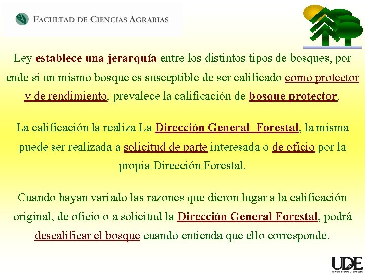 Ley establece una jerarquía entre los distintos tipos de bosques, por ende si un
