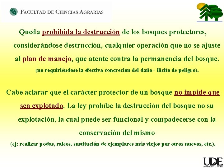 Queda prohibida la destrucción de los bosques protectores, considerándose destrucción, cualquier operación que no