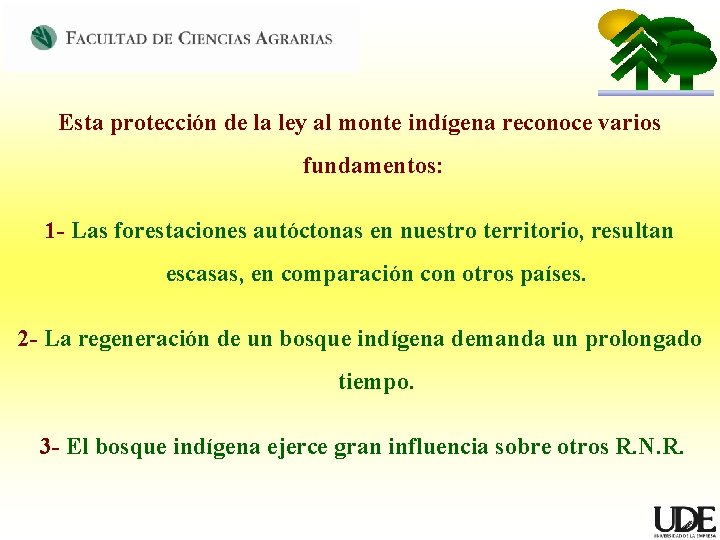 Esta protección de la ley al monte indígena reconoce varios fundamentos: 1 - Las