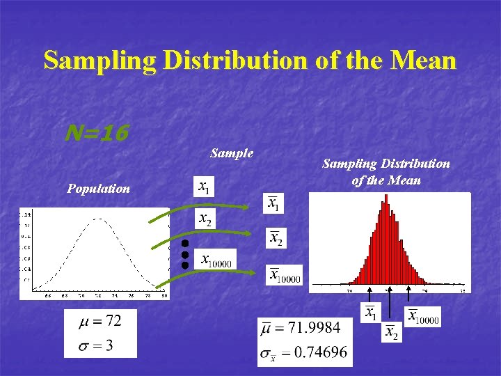 Sampling Distribution of the Mean N=16 Population Sample Sampling Distribution of the Mean 