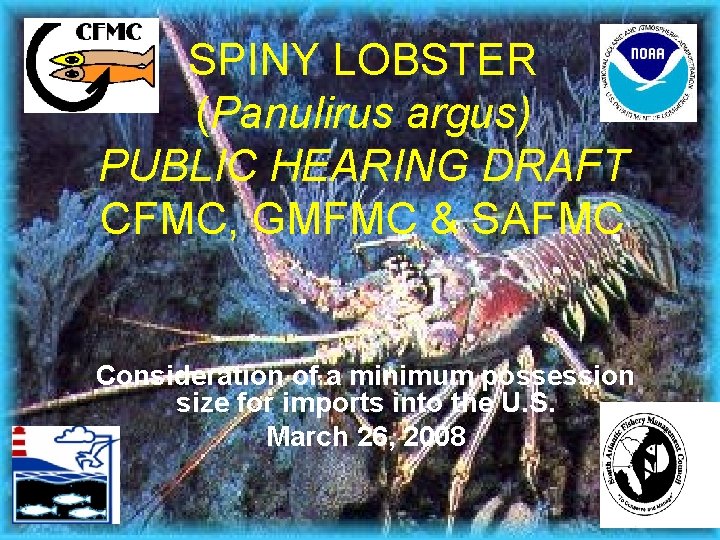 SPINY LOBSTER (Panulirus argus) PUBLIC HEARING DRAFT CFMC, GMFMC & SAFMC Consideration of a