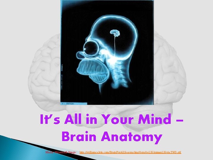 It’s All in Your Mind – Brain Anatomy Master Watermark Image: http: //williamcalvin. com/Brain.