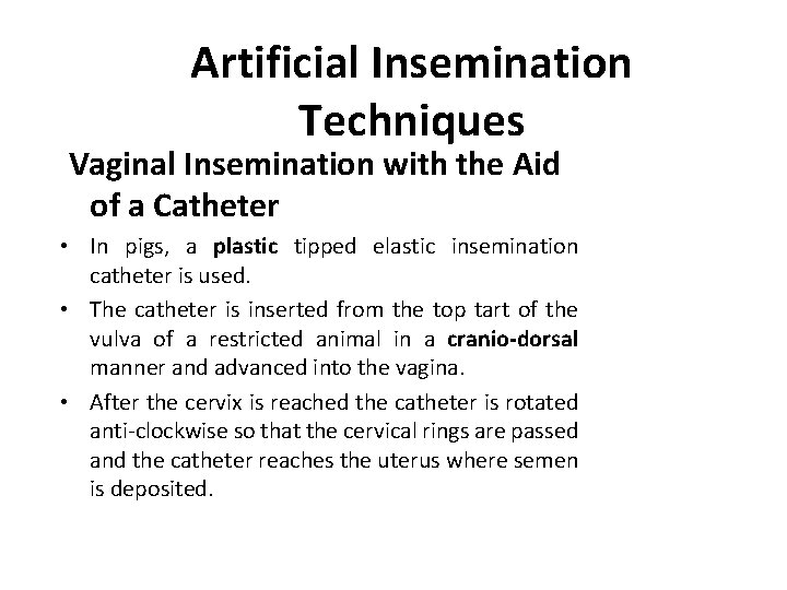 Artificial Insemination Techniques Vaginal Insemination with the Aid of a Catheter • In pigs,