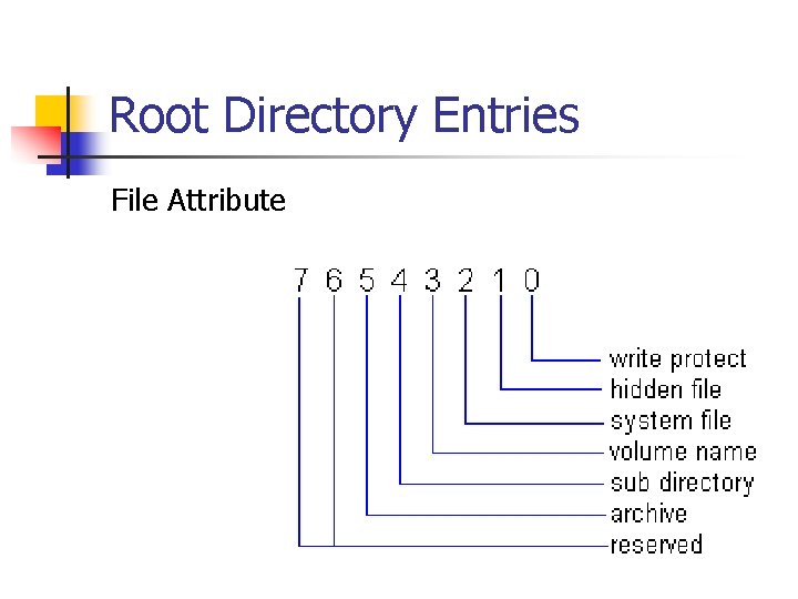Root Directory Entries File Attribute 