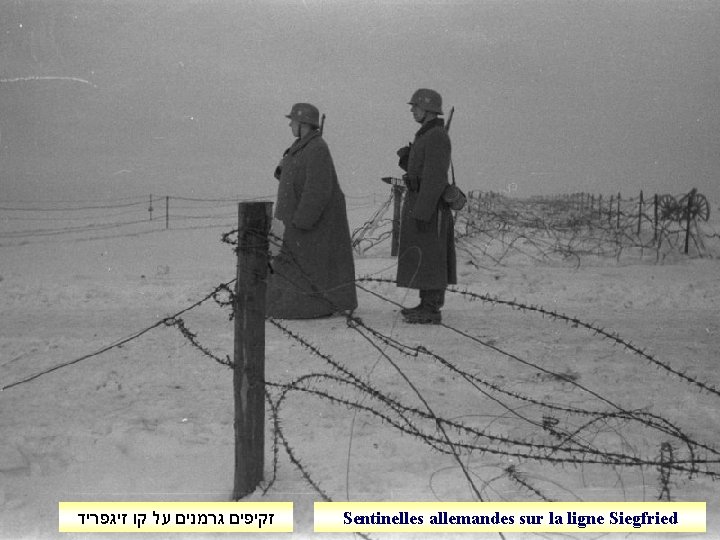  זקיפים גרמנים על קו זיגפריד Sentinelles allemandes sur la ligne Siegfried 