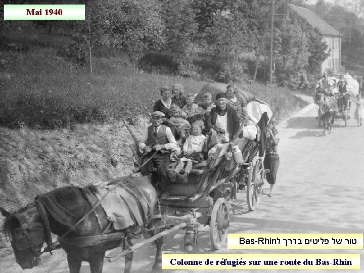 Mai 1940 Bas-Rhin טור של פליטים בדרך ל Colonne de réfugiés sur une route