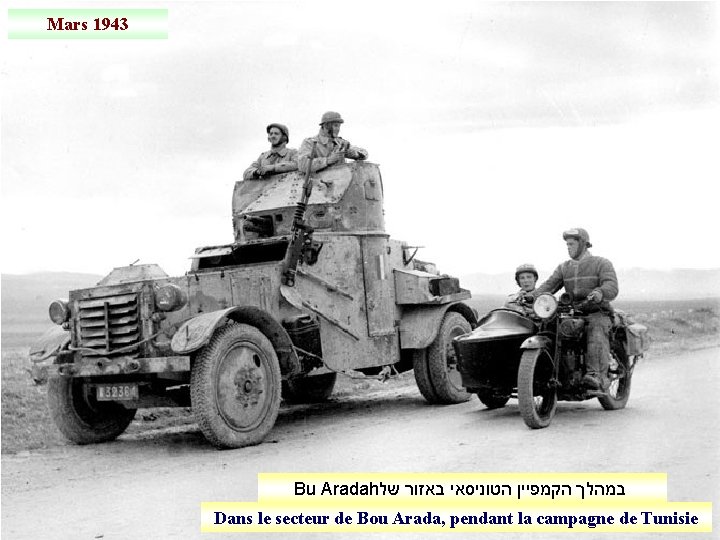 Mars 1943 Bu Aradah במהלך הקמפיין הטוניסאי באזור של Dans le secteur de Bou