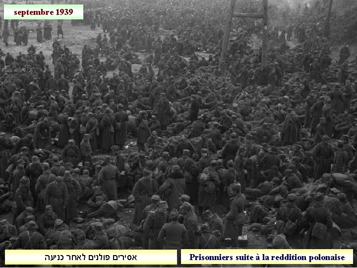 septembre 1939 אסירים פולנים לאחר כניעה Prisonniers suite à la reddition polonaise 