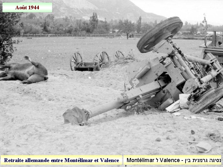 Août 1944 Retraite allemande entre Montélimar et Valence Montélimar ל Valence - נסיגה גרמנית