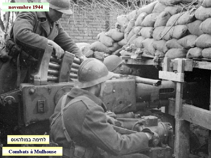 novembre 1944 לחימה במולהאוס Combats à Mulhouse 