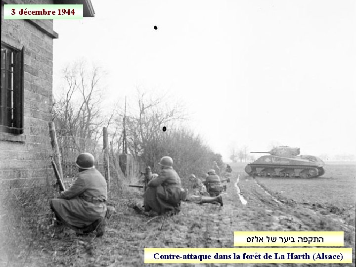 3 décembre 1944 התקפה ביער של אלזס Contre-attaque dans la forêt de La Harth