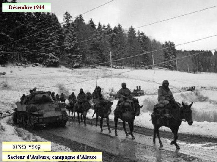 Décembre 1944 קמפיין באלזס Secteur d’Aubure, campagne d’Alsace 