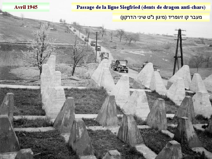 Avril 1945 Passage de la ligne Siegfried (dents de dragon anti-chars) ( מעבר קו