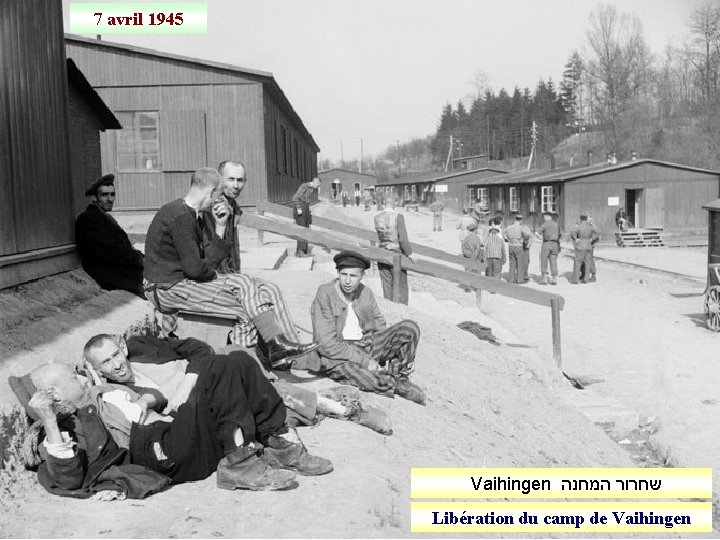 7 avril 1945 Vaihingen שחרור המחנה Libération du camp de Vaihingen 