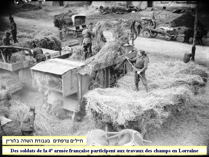  חיילים צרפתים בעבודת השדה בלוריין Des soldats de la 4 e armée française